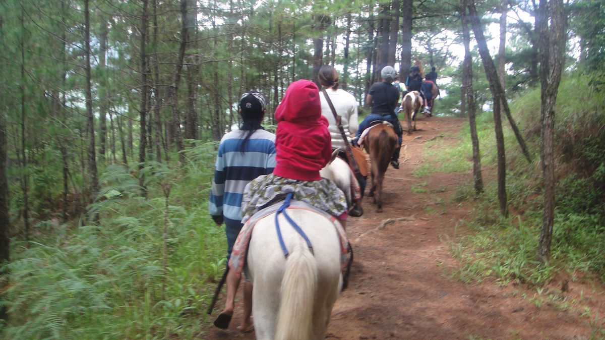 Horseback Riding in Camp John Hay Out of Town Blog