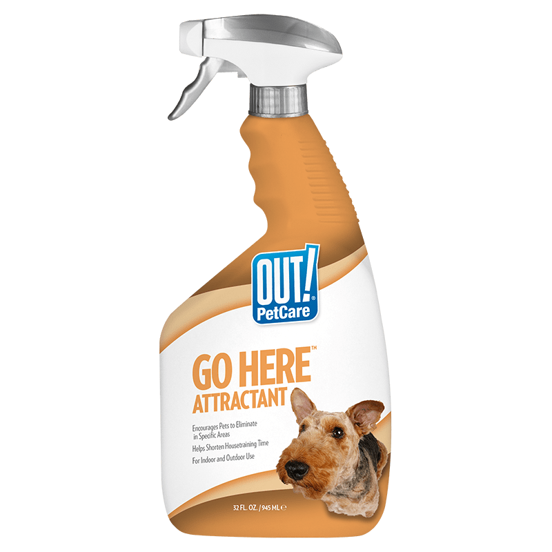 Dog pee pads and other training aids OUT! PetCare