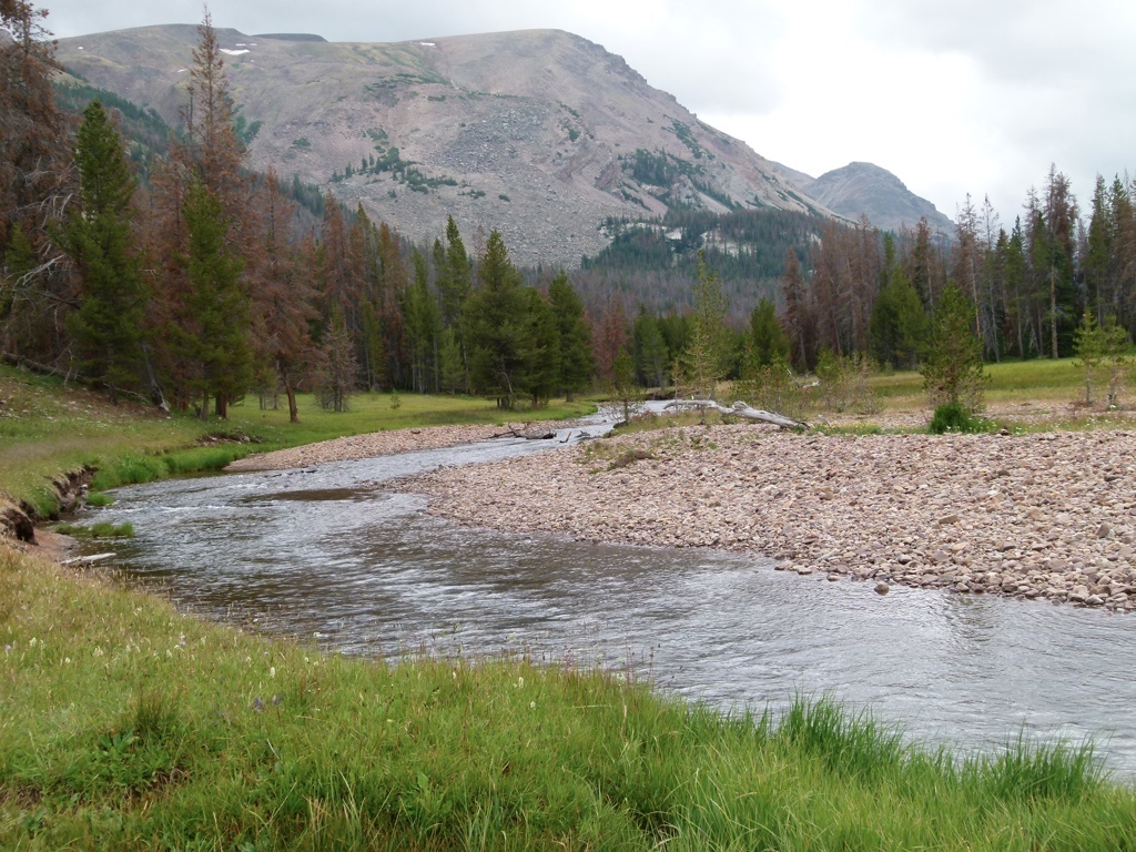 West Fork Blacks Fork Outside By Nature Trip Reports