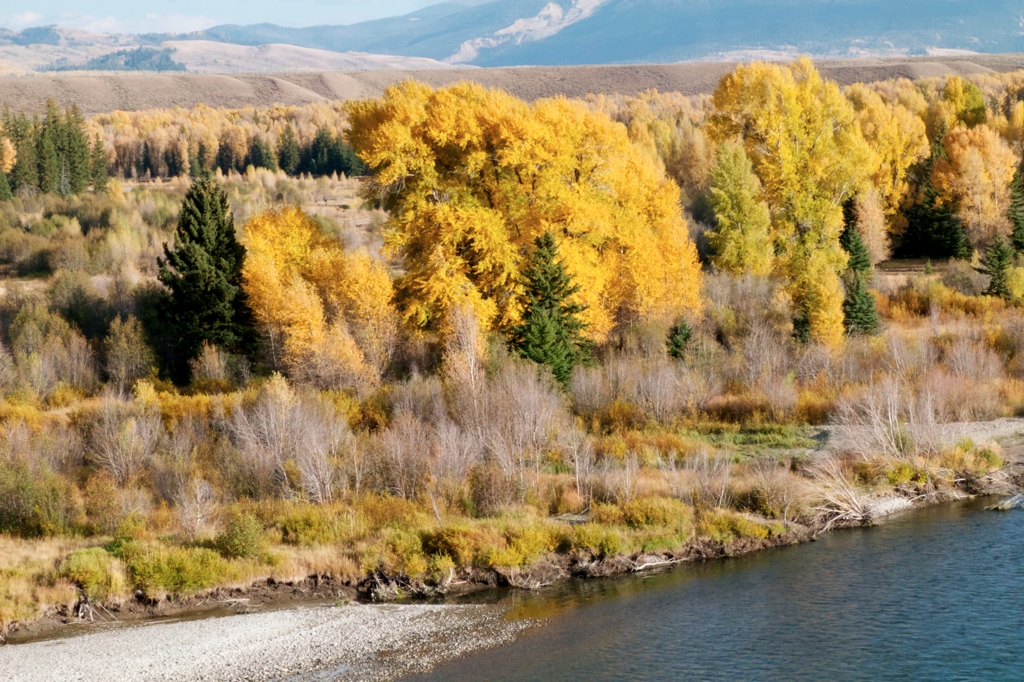 Brooks Lake Outside By Nature Trip Reports