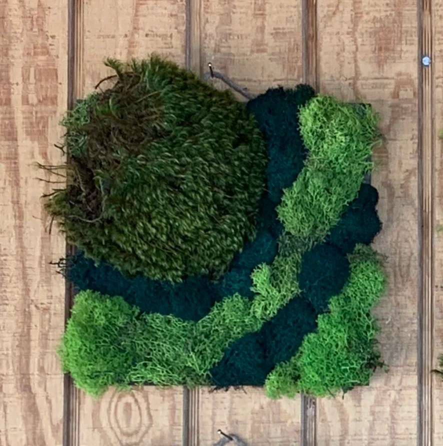 Moss Wall Art Sustainable Living Wall Decor 10"x10" Outside In