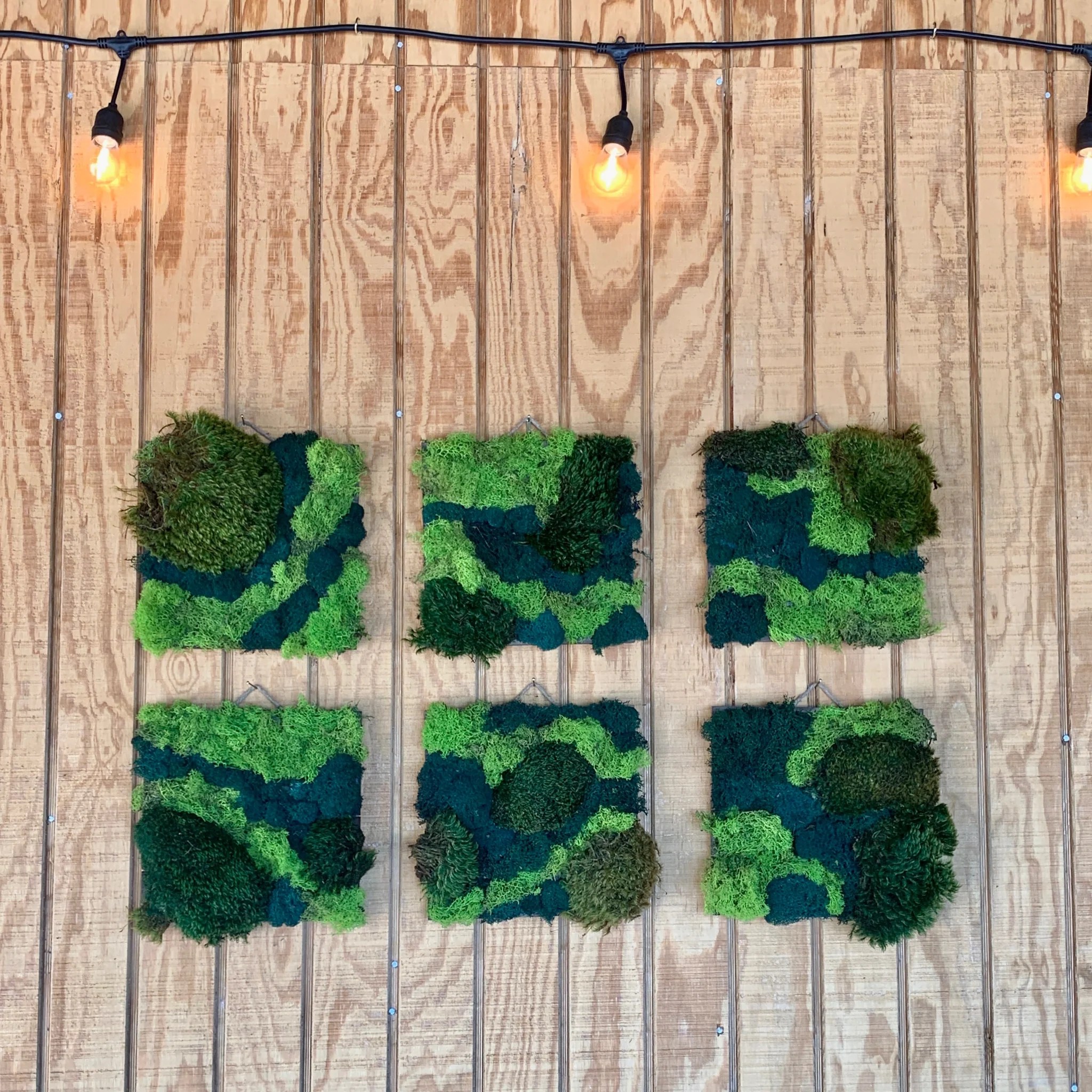Moss Wall Art Sustainable Living Wall Decor 10"x10" Outside In