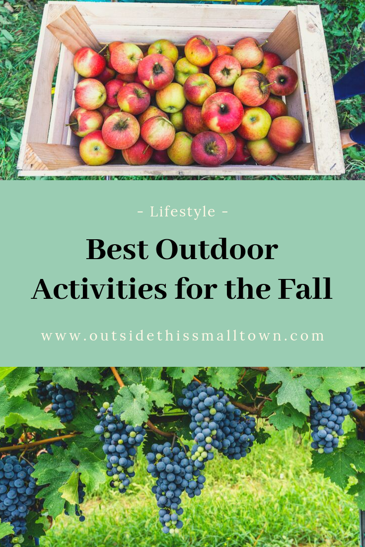 My favorite outdoor activities for the fall: grape stomps, apple harvests, and pumpkin patches! Where to find them near you & more 
via Outside This Small Town Travel Blog #fall #harvest #outdoor #travelblog
