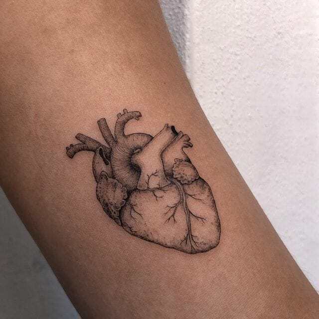 101 Best Anatomical Heart Tattoo Ideas That Will Blow Your Mind! Outsons