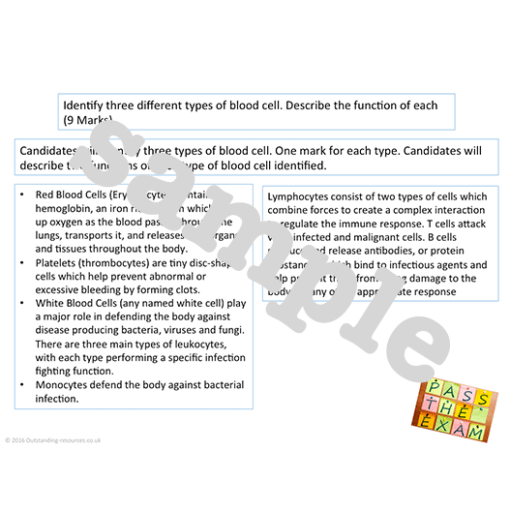 New Cambridge Technicals Health and Social Care Level 3 unit 4 Anatomy