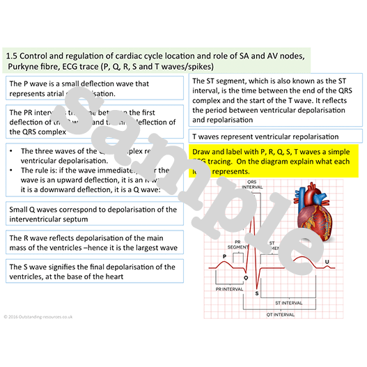 New Cambridge Technicals Health and Social Care Level 3 unit 4 Anatomy