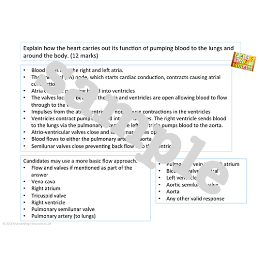 New Cambridge Technicals Health and Social Care Level 3 unit 4 Anatomy