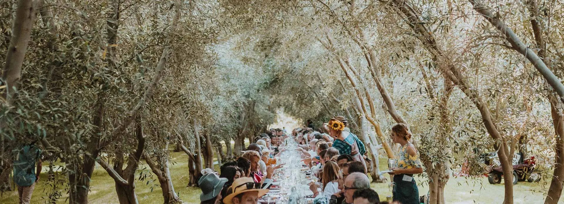 Temecula Olive Oil Company Outstanding in the field