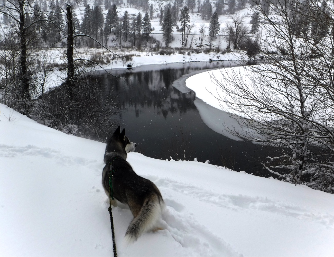 Where to Go Snowshoeing and CrossCountry Skiing Near Spokane Out