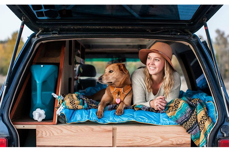 14 Humans that Live the Van Life with a Dog or Cat BuzzWoof at