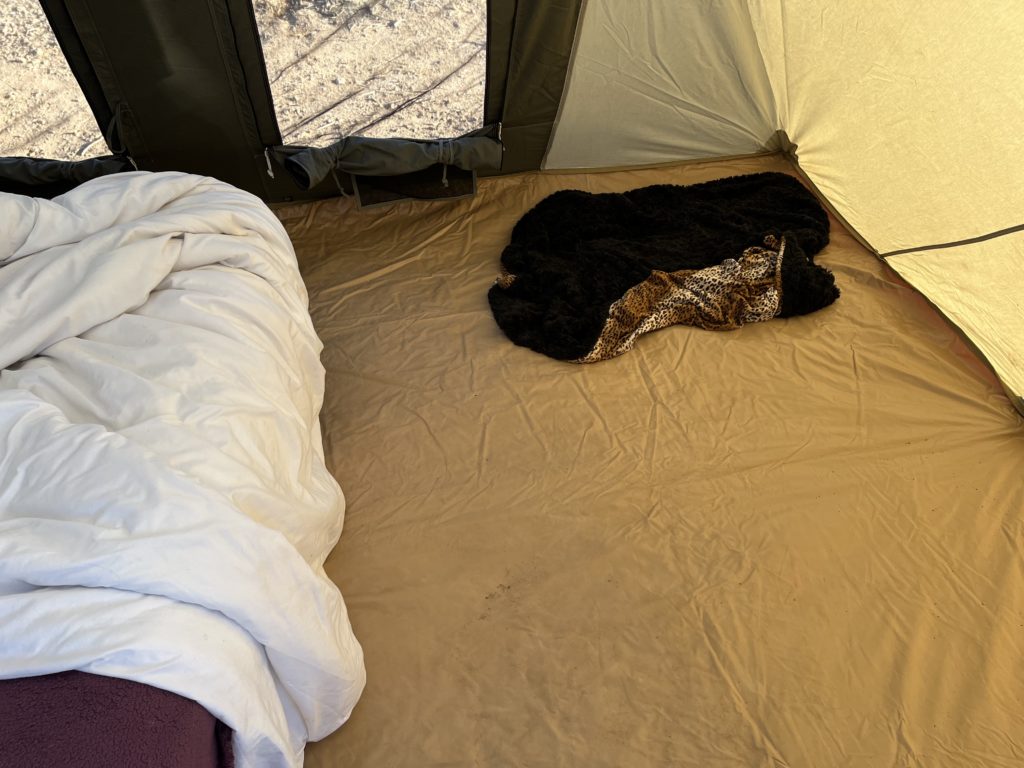 Is the Kodiak Canvas Tent Worth It? A Comprehensive Review