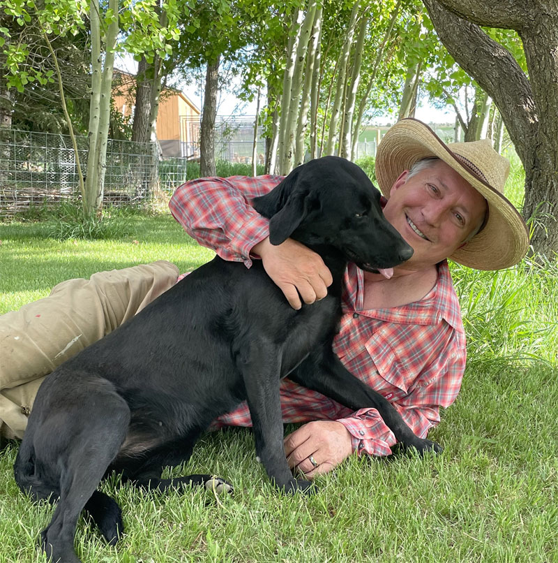 Outwest Kennels Colorado Labrador Retrievers