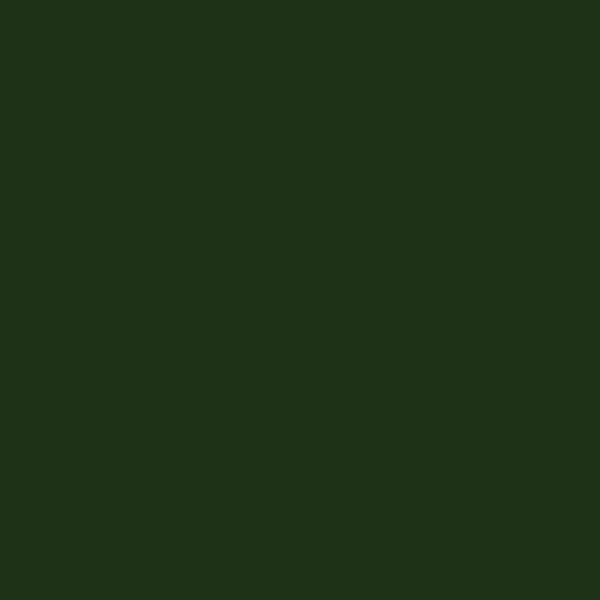 RAL COLOUR STANDARD 6028 PINE GREEN