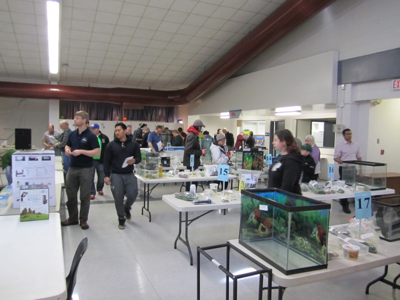 Ottawa Valley Aquarium Society