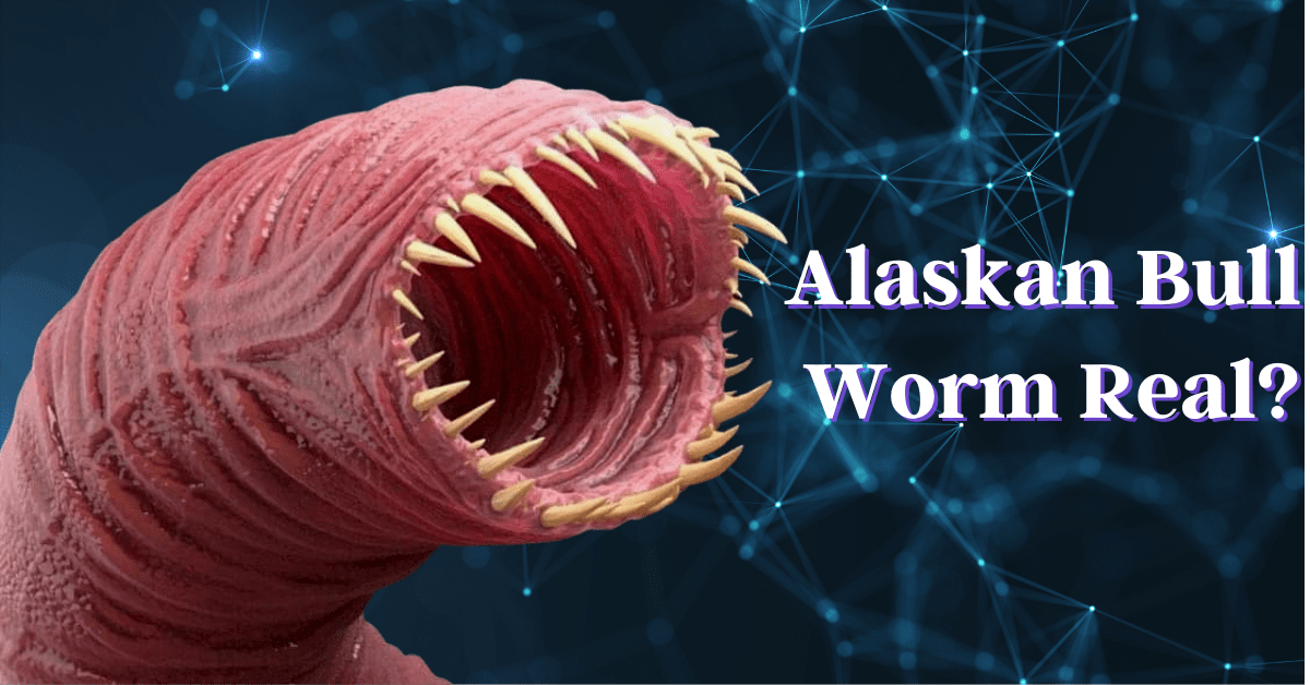 alaskan bull worm real life Archives Overall Guides