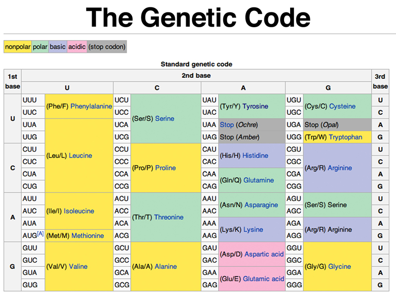 code and its properties Overall Science