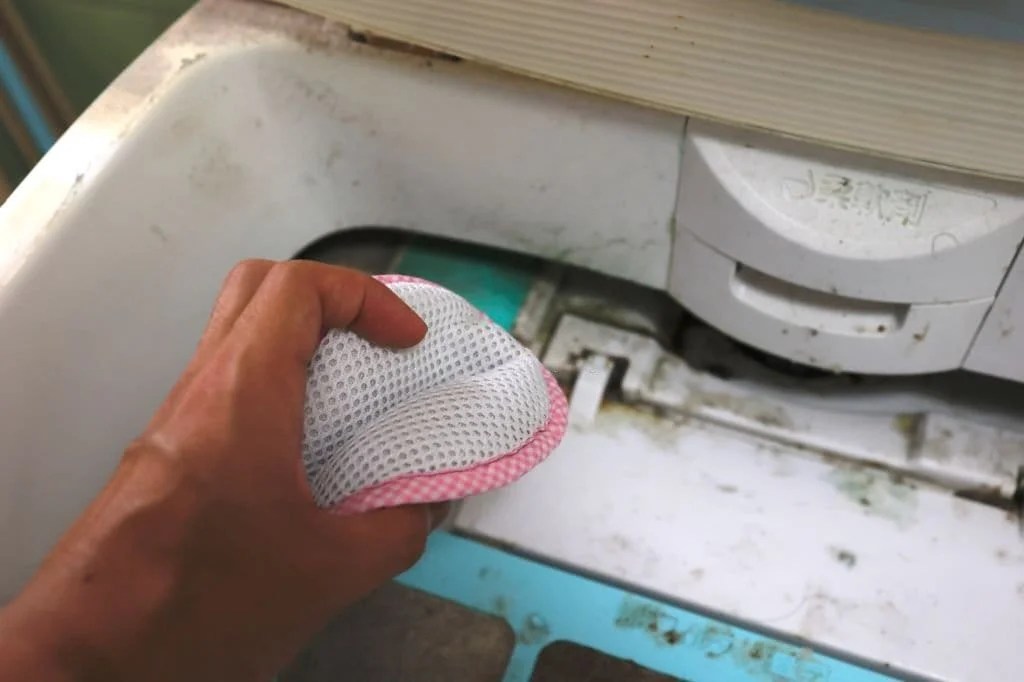 How to Remove Mold from Rubber Seal on Washing Machine OVERINSIDER