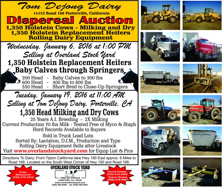 Overland Stockyard Hanford, CA Cattle Auctions, Dairy Dispersals