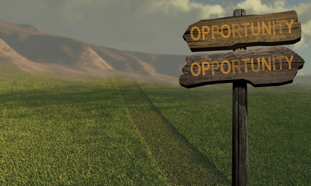 Why Opportunity Cost Is An Important Decision Maker Over'N'Out