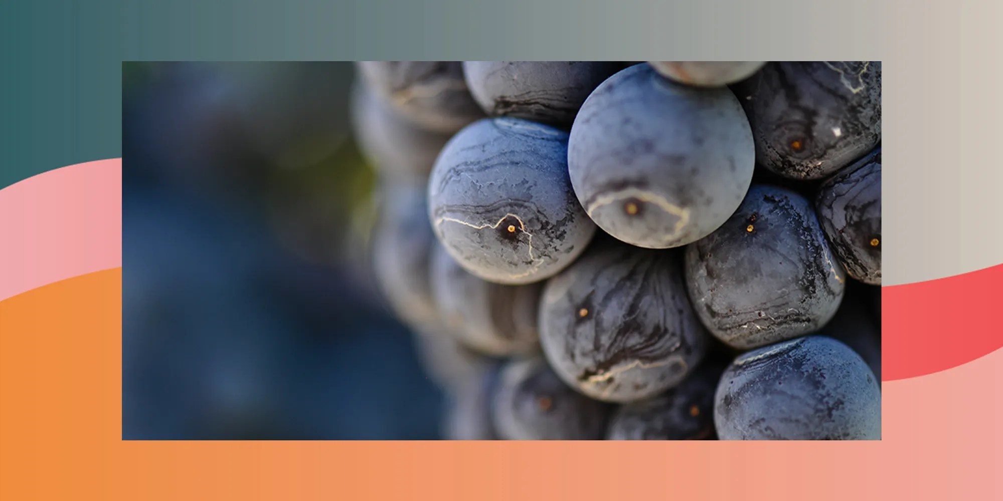 The 10 Most Popular Napa Wines in the World (2023) Overproof