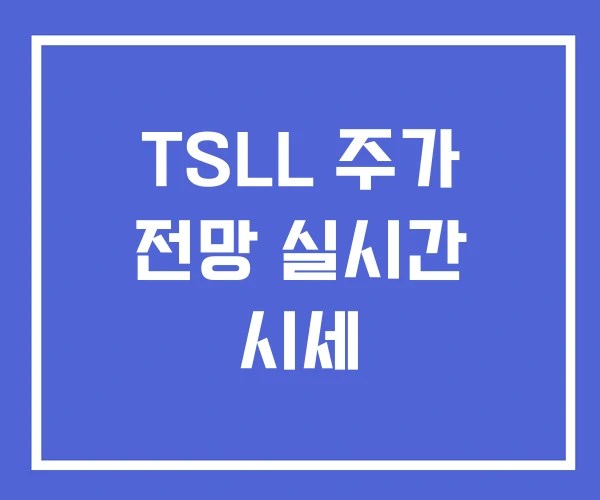 TSLL 주가 전망 실시간 시세 TSLL 주가 전망 실시간 시세