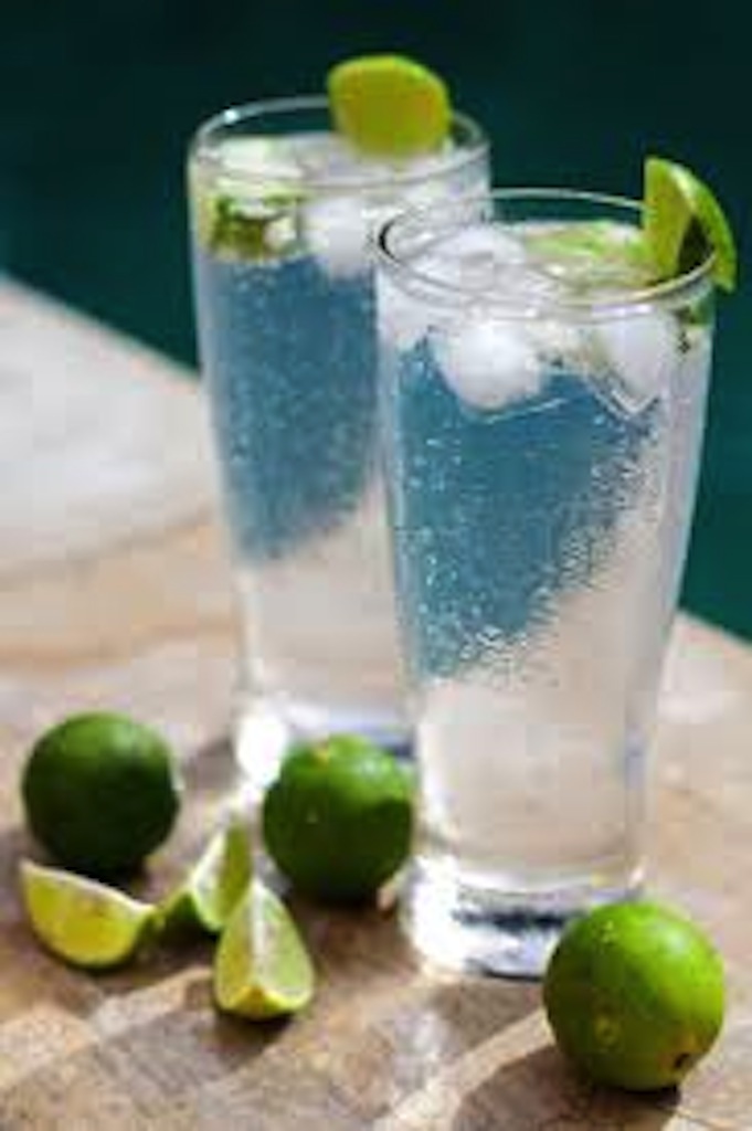 How to stay healthy...drink Gin! Over The Hilda