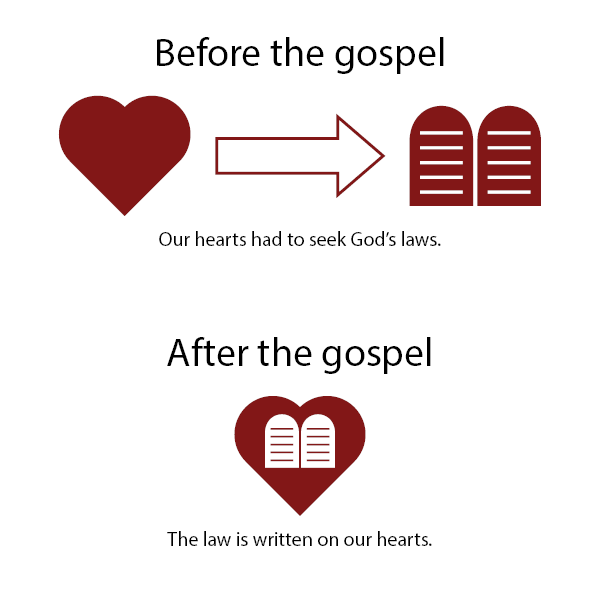 The gospel makes Ps 119916 better OverviewBible