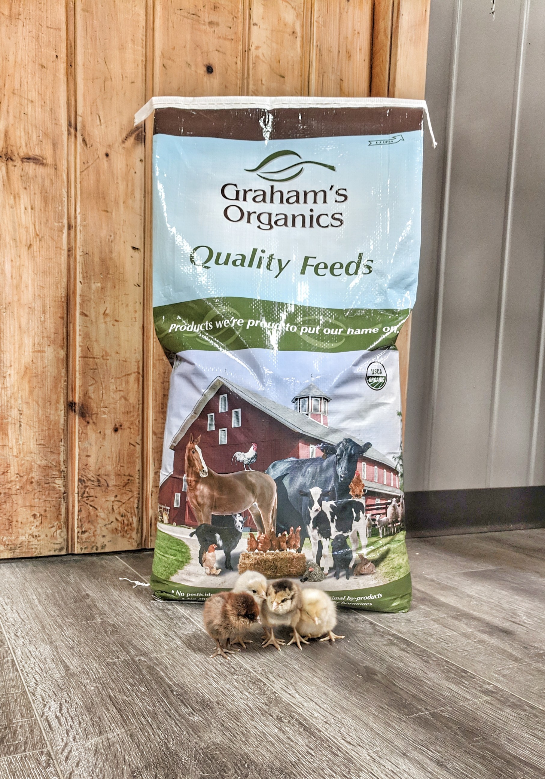 organic chick feed Ovid Elevator Co.