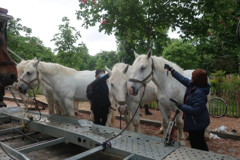 「魚の道」をゆく！ OVNI オヴニー・パリの新聞