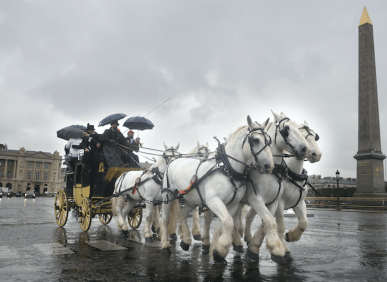「魚の道」をゆく！ OVNI オヴニー・パリの新聞