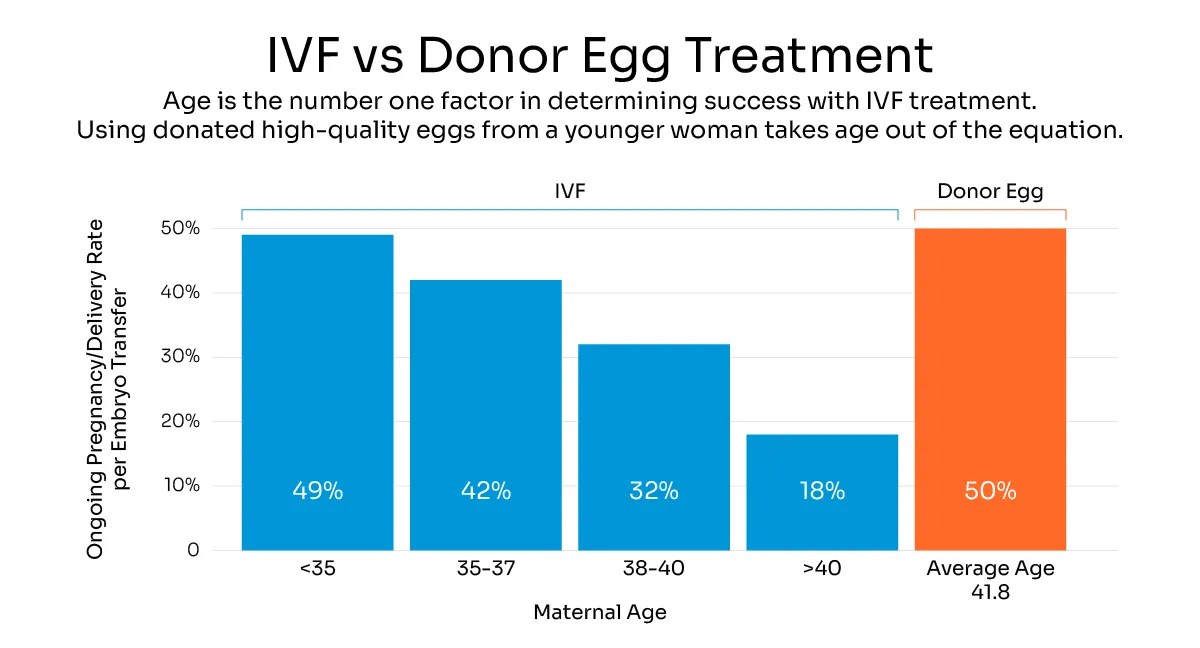 Everything About Donor Egg Success Rates Ovogene