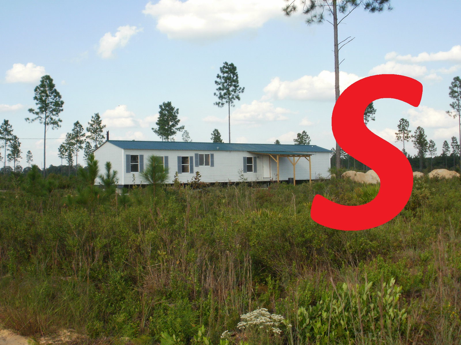 65 Acres, Jeff Davis County, GA