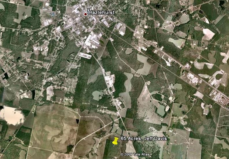 65 Acres, Jeff Davis County, GA