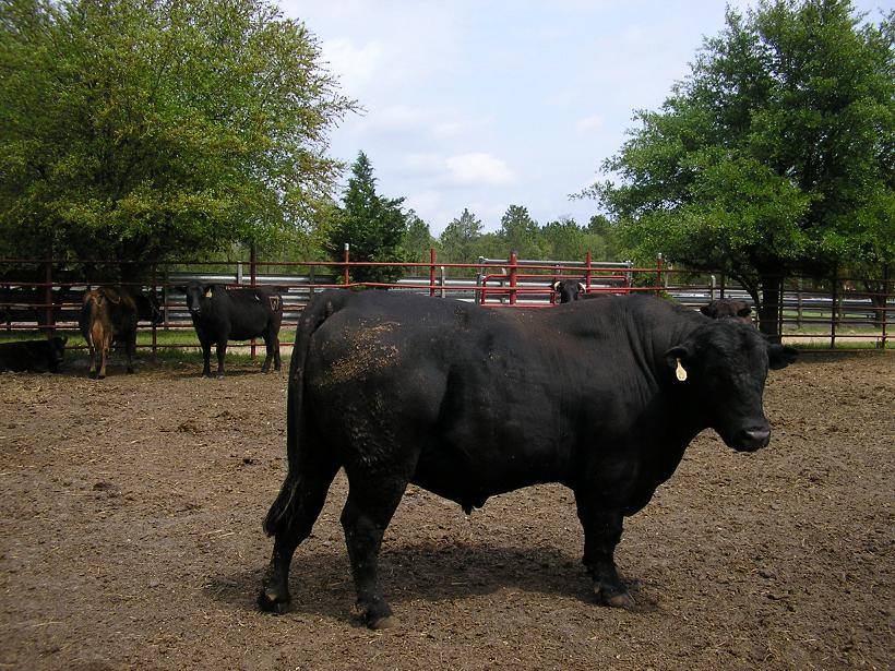 To Wooten Enterprises