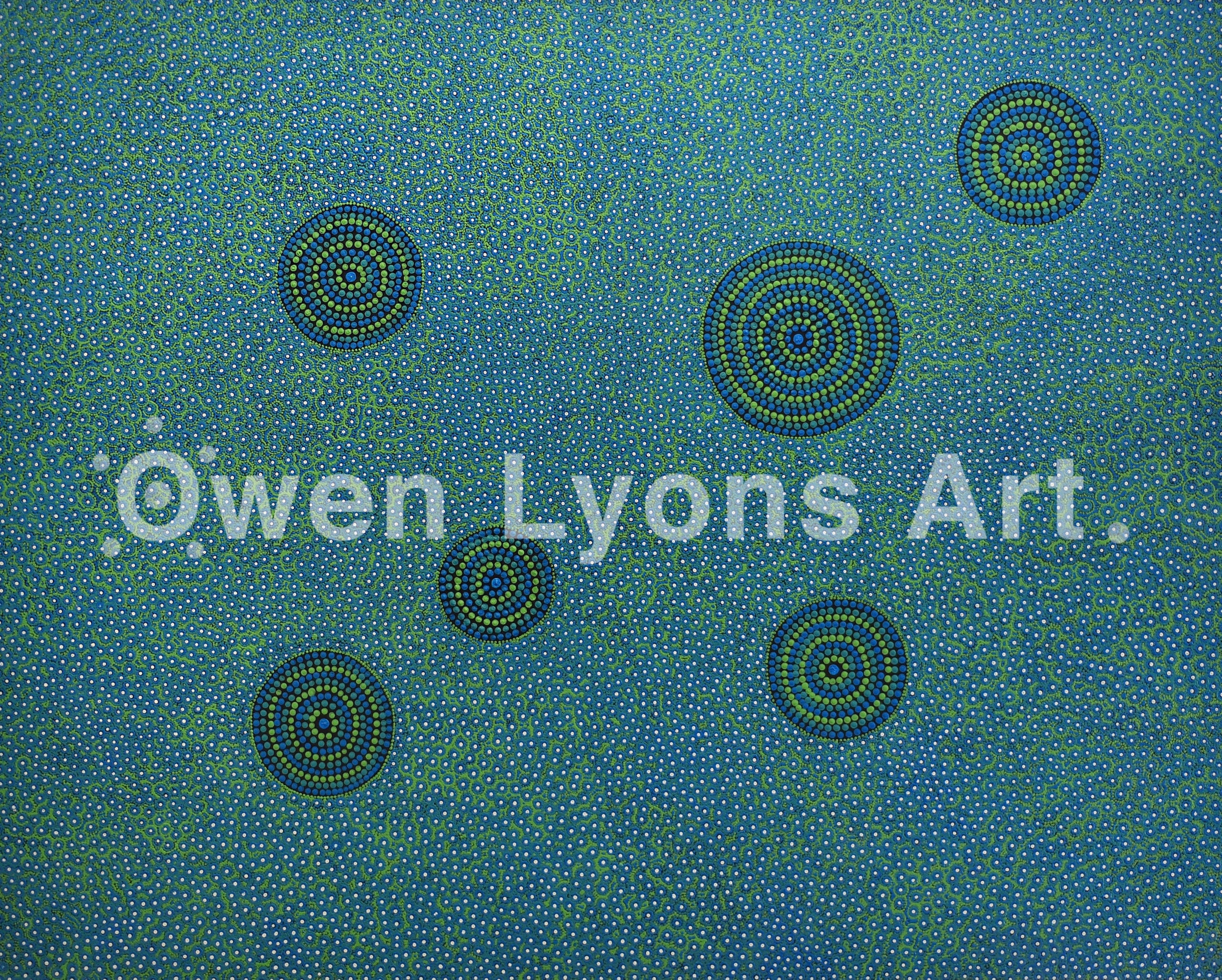 Owen Lyons Art Wiradjuri Artist & Indigenous Storyteller