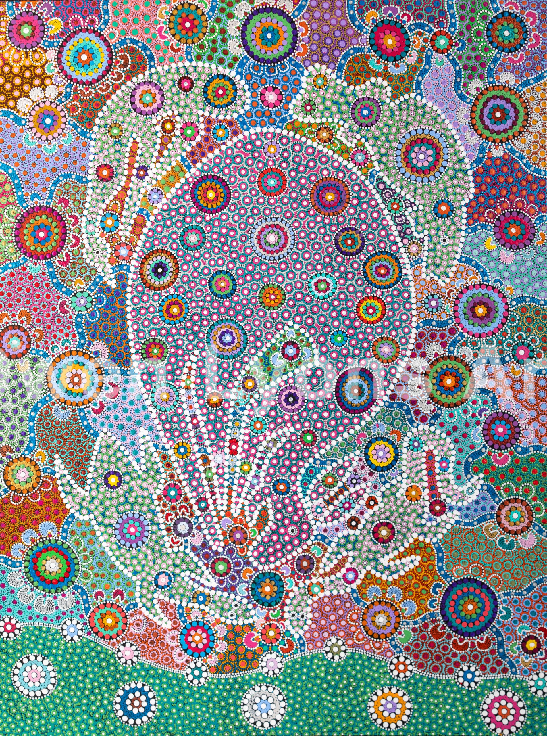 About Owen Lyons Art Traditional Wiradjuri Artist Wagga Wagga