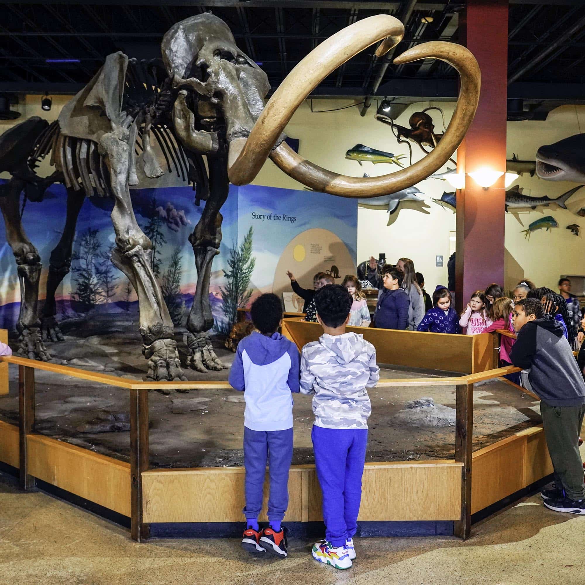 Visit Owensboro Museum of Science & History