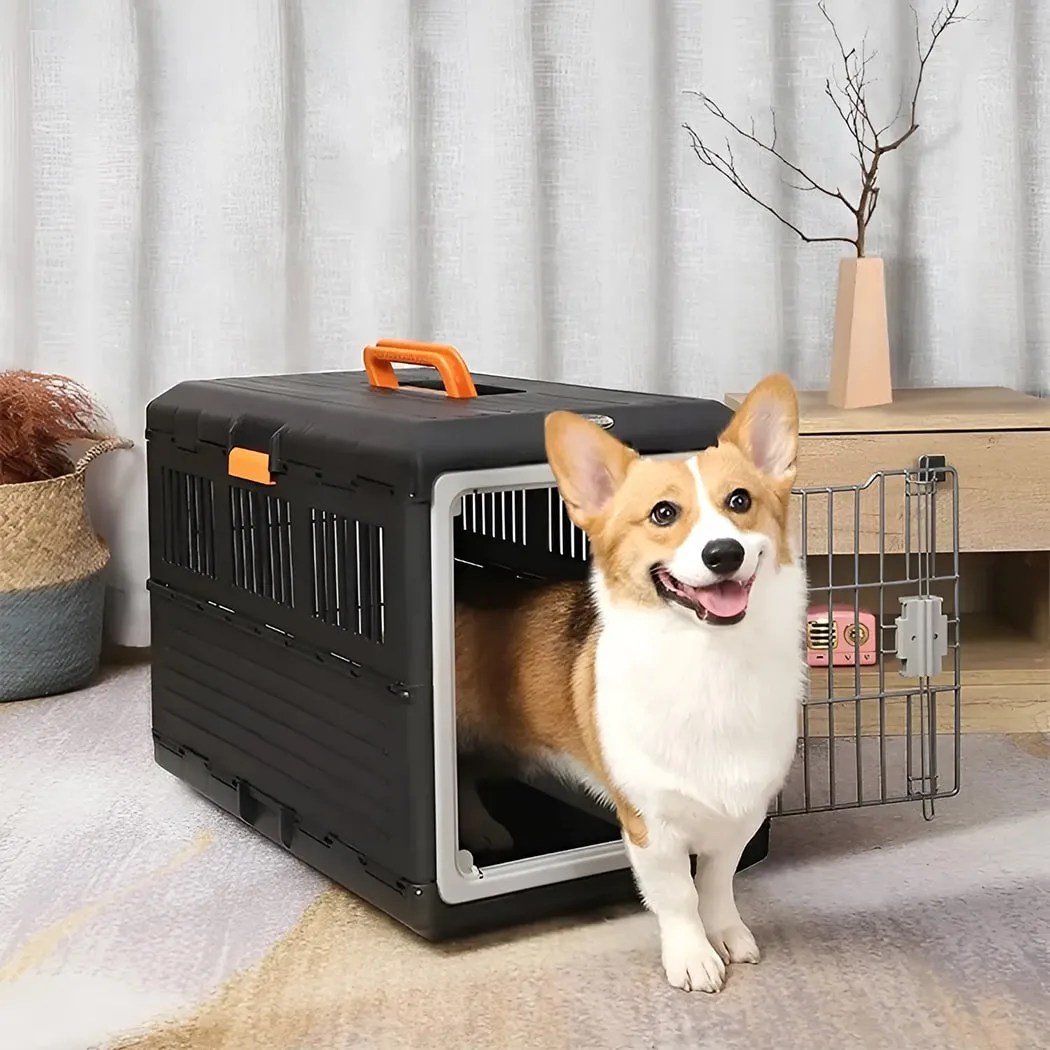 Buy Car Dog Cage, Car Dog Crate Free Shipping Owleys Official