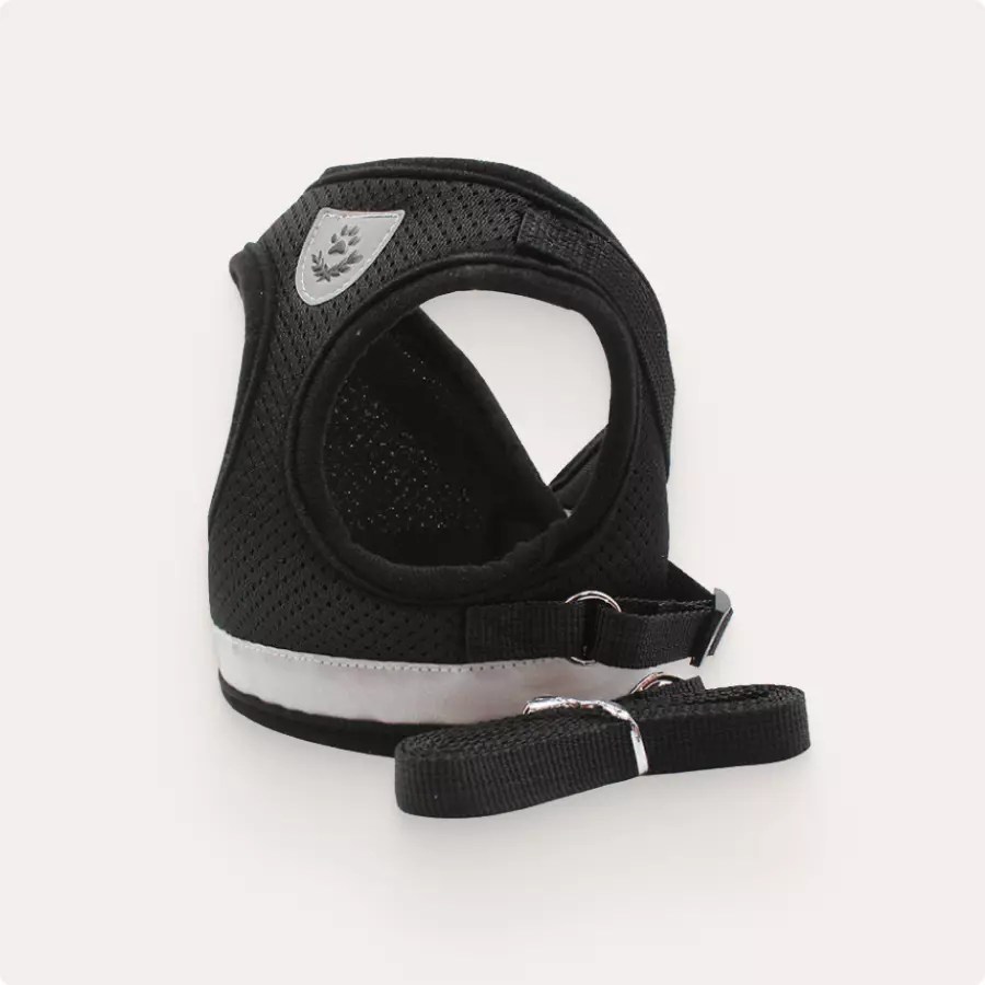 Buy Dog Car Safety Harness Free Shipping Owleys Official