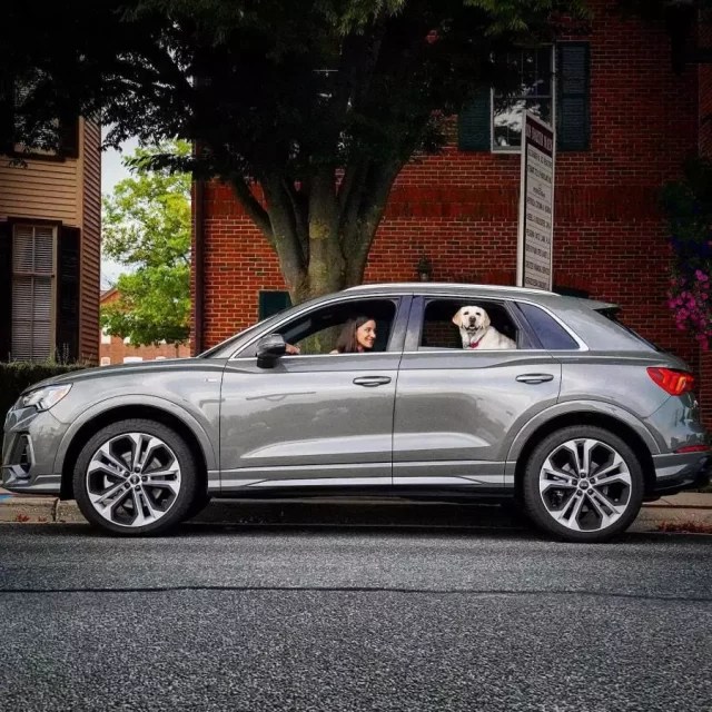 Audi Dog Seat Cover "Travel Buddy" by Owleys Buy with Fast & Free