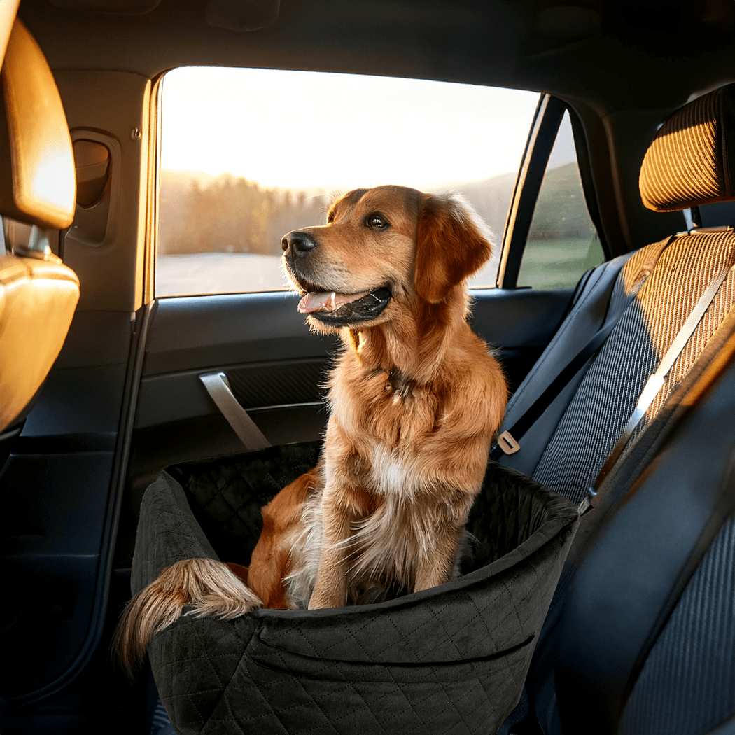 Dog Car Seat "Paws Ride" by Owleys Buy with Fast & Free US Ship