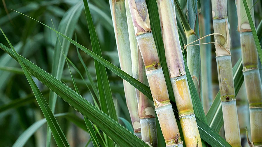 Natural Skincare Recyclable Tubes Owl in a Towel