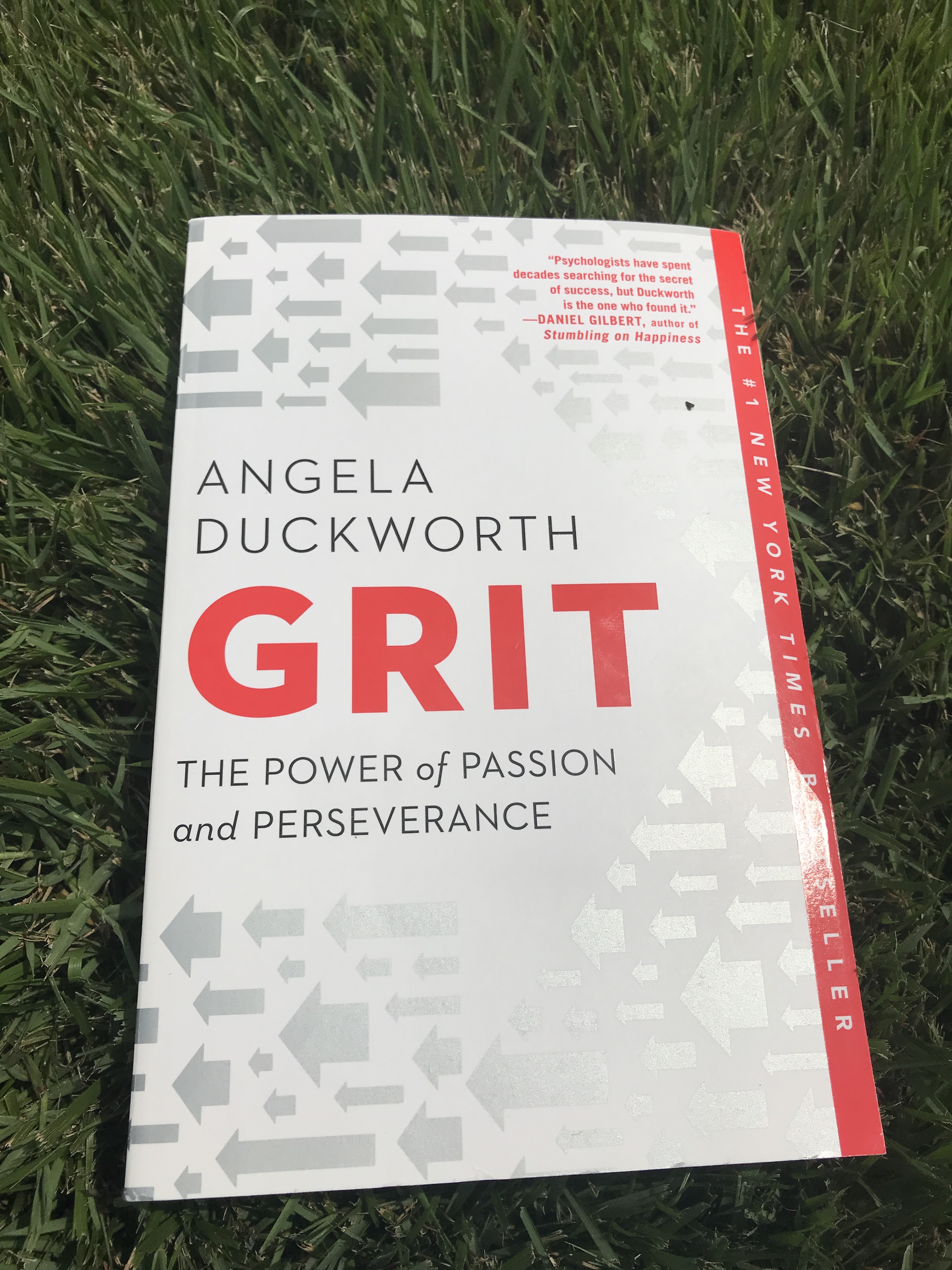 Book Review “Grit” The Owl's Voyage