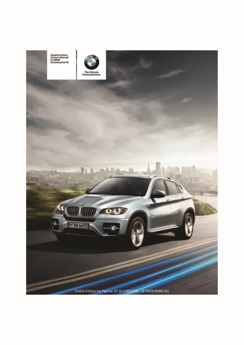 2010 BMW X6 owners manual free pdf