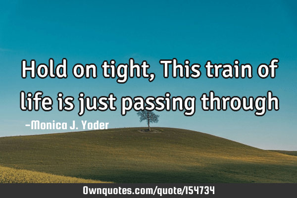 the train of life quote Hold On Tight, This Train Of Life Is Just Passing Through: Ownquotes.com
