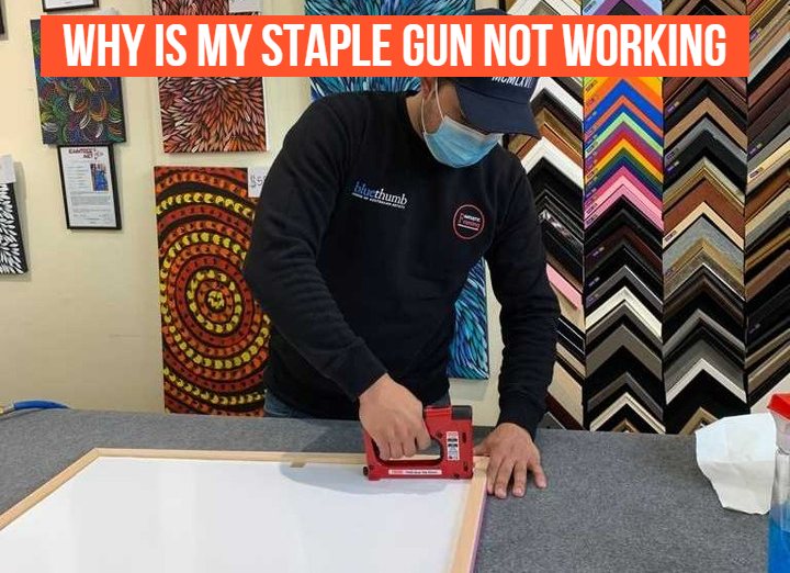 Why is my staple gun not working (Problems + solutions)
