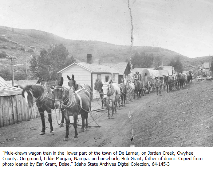 Owyhee County Gen index