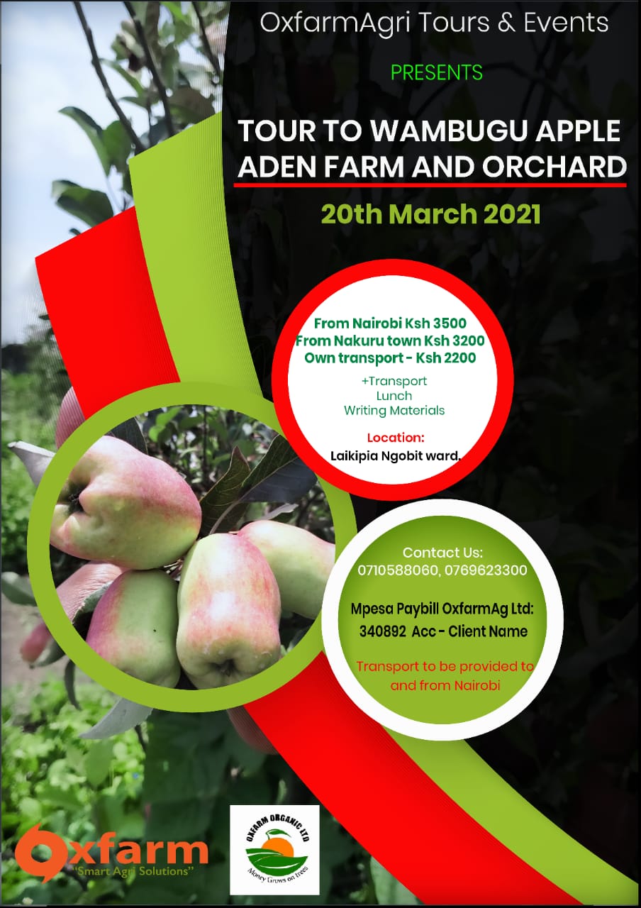 OxfarmAgri Tours A visit to Wambugu Apple Aden farm Oxfarm