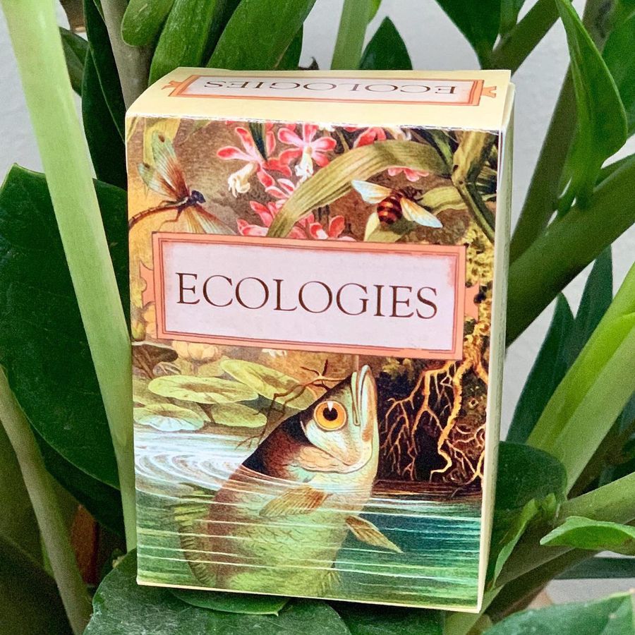 Buy Ecolgies The Card Game Online Oxford Games