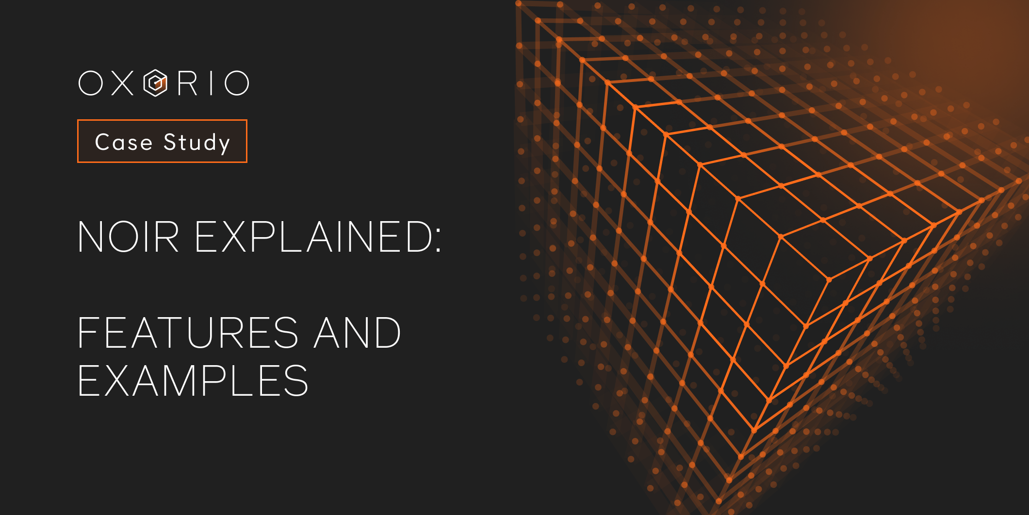 Noir Explained Features and Examples